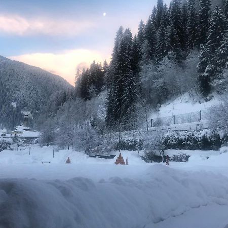 Holidays Dolomiti Apartment Resort Каризоло Экстерьер фото