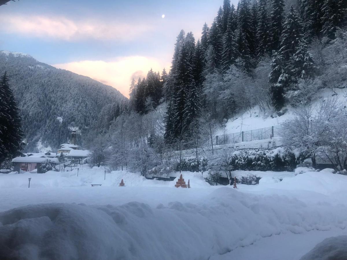 Holidays Dolomiti Apartment Resort Каризоло Экстерьер фото